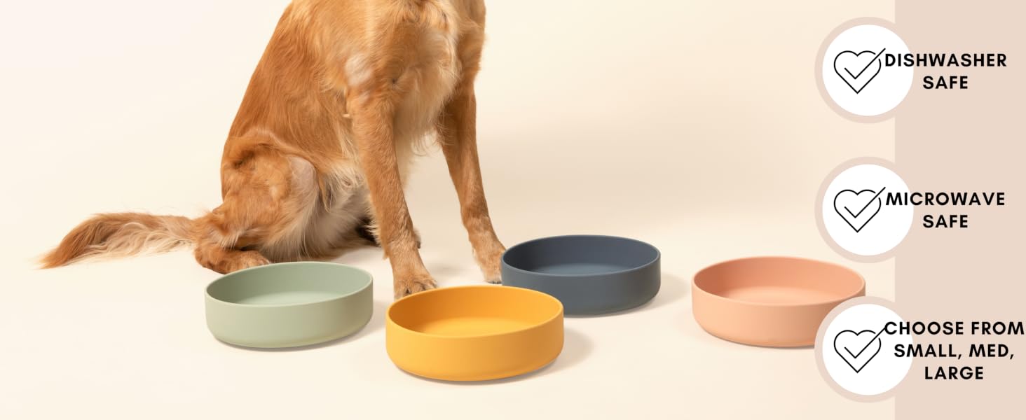 flat wont move suction unspillable freeze decorative bend easy slow feeder tray maltese accesorios