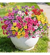 Roberly Artificial Flowers for Outdoors, UV Resistant Silk Faux Flowers Daisy with Eucalyptus Gre...