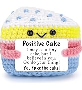 GevGuxLuo 2026 Mini Funny Birthday Gifts for Women Men-Positive Crochet Cake Gift,Inspirational H...