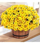 Lifewit Artificial Flowers Daisy for Outdoor