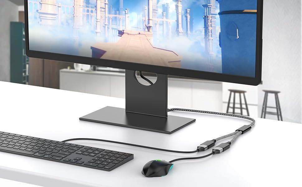 2 port usb hub