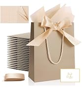 Ethhqu 12 Pack Small Gift Bags with Handles Include Tissue Papers & Cards, 9x7x3.15'' Thank You G...