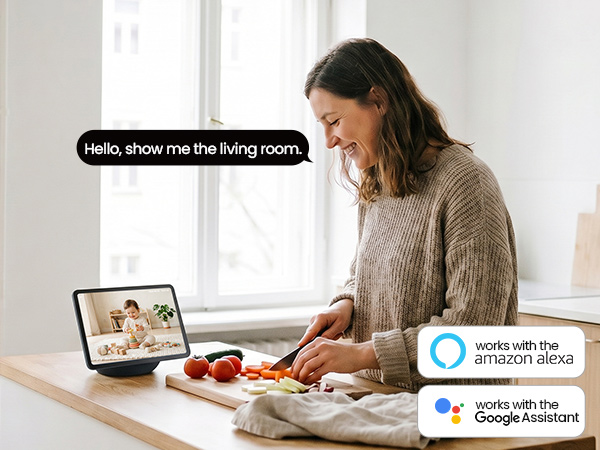 The cameras for home security are compatible with the Alexa or Google home