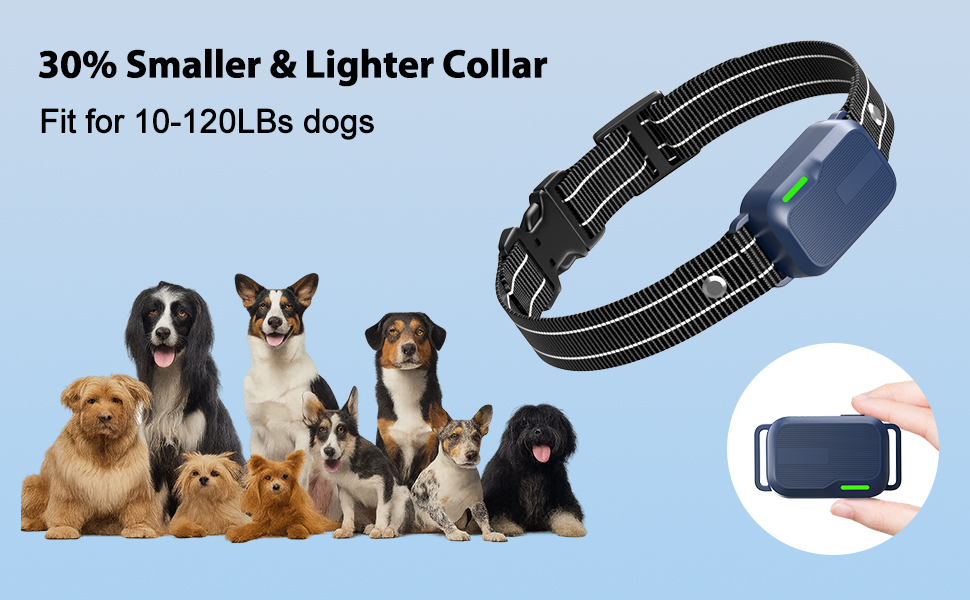 electric dog collar