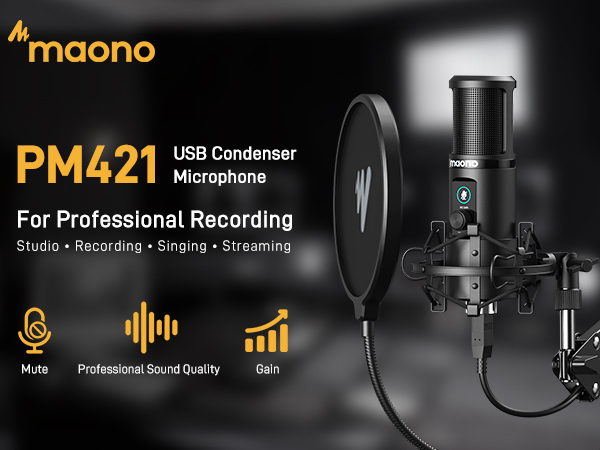 condenser microphone