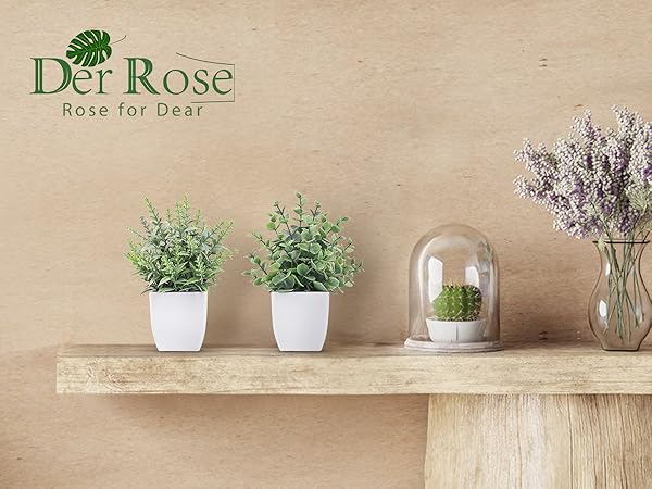 small plants