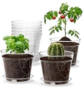 WSMKSZ 4 Inch Clear Nursery Pots, 8 Pack Highly Transparent Plant Pots for Small Indoor Plants wi...