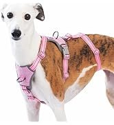 Huntboo Escape Proof Dog Harness – No Pull, No Slip, Fully Reflective, Adjustable 7-Point Design ...