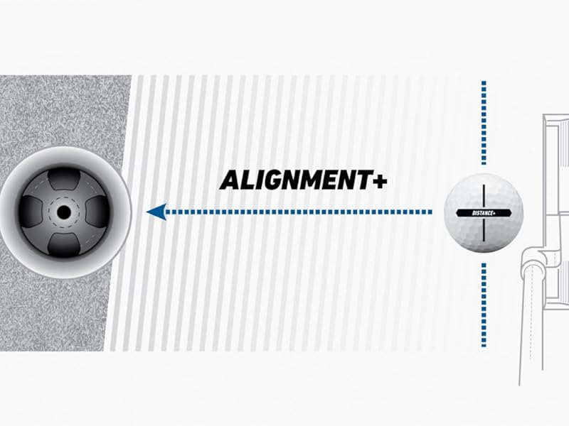 Alignment
