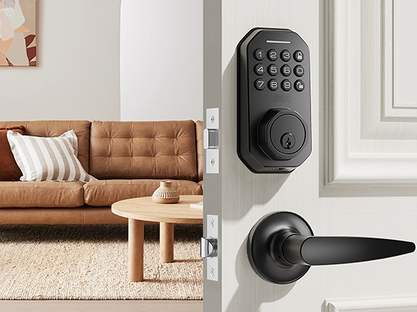 keyless entry door lock
