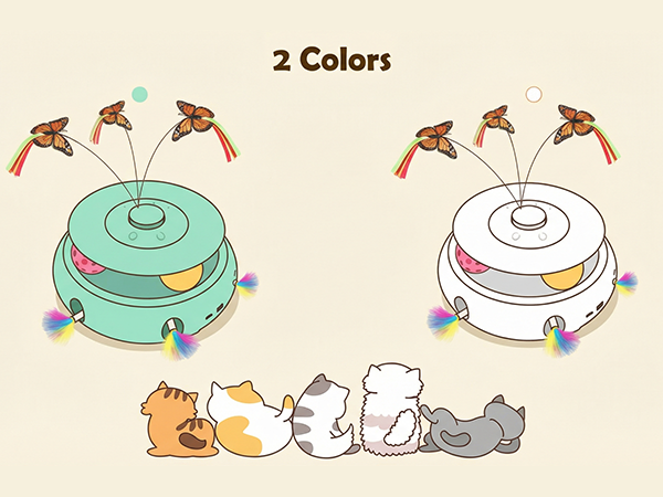 cat toy