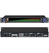MIZISNR Digital Equalizer for Home Stereo Audio System, Professional 31 Band Dual Channel Graphic...