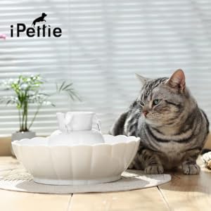 Water Fountains for Cats and Dogs Pet Water Dispenser with Replacement Filters and Foam