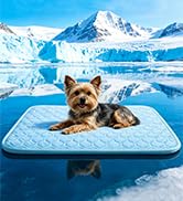 dog cooling mat indoor
