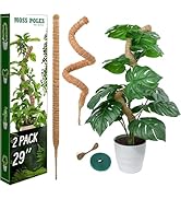 HFLYJPYW 2 Pack 29'' Bendable Moss Pole Monstera Plant Support for Climbing Indoor Plants - Stake...