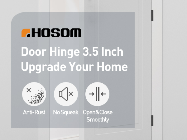 DOOR HINGE 3 1/2