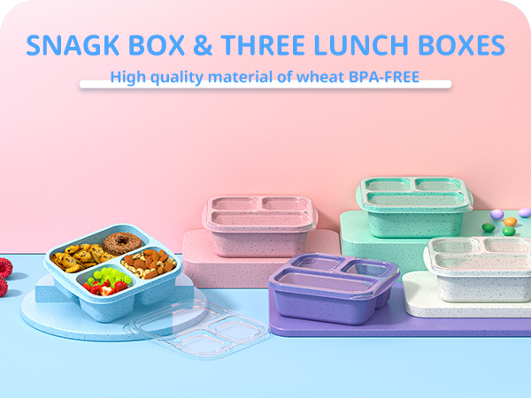 bento box
