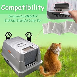 cat litter box