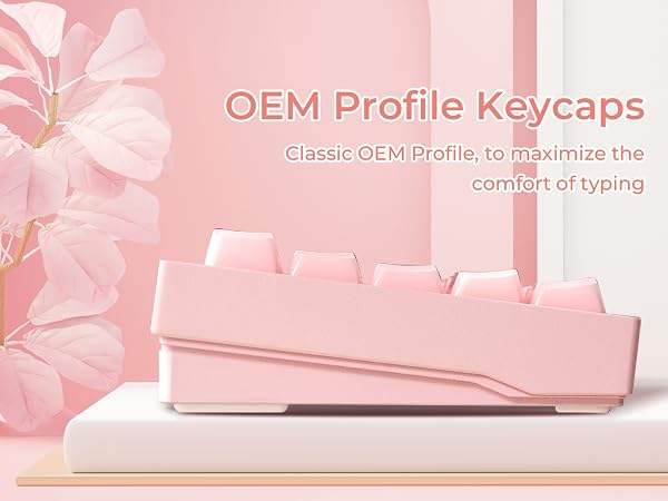OEM keycaps