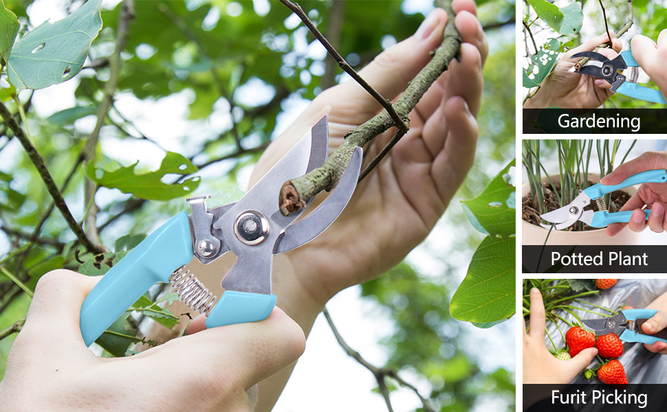 gardening shears