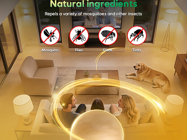 insect repellent travel size