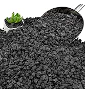 NUPICK 6lb Black Lava Rocks for Plants, 3/8" Succulent Potting Soil Amendments, Decorative Lava R...