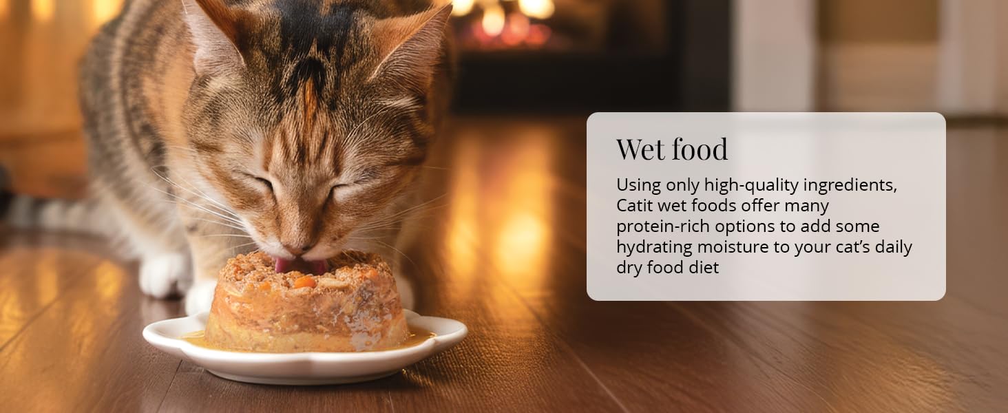 Wet Food using only high-quality ingredients