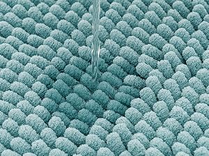 bathroom rug