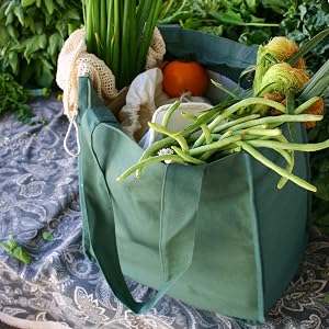 organic cotton grocery bags