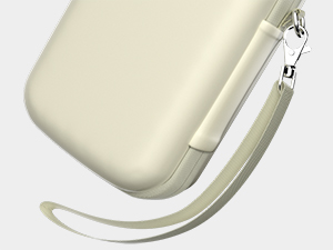 Portable Handle