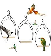 winemana Set of 3 Hummingbird Swings, Rust Resistant Metal Frame, Wooden Dowel, Attach to Bird Fe...