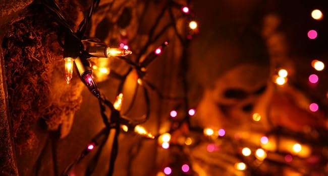 orange purple string lights