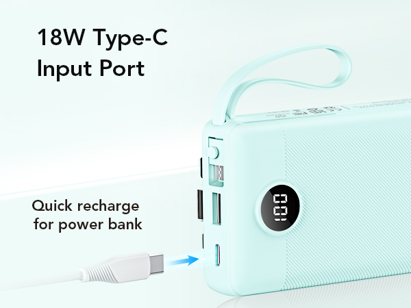power bank usb c