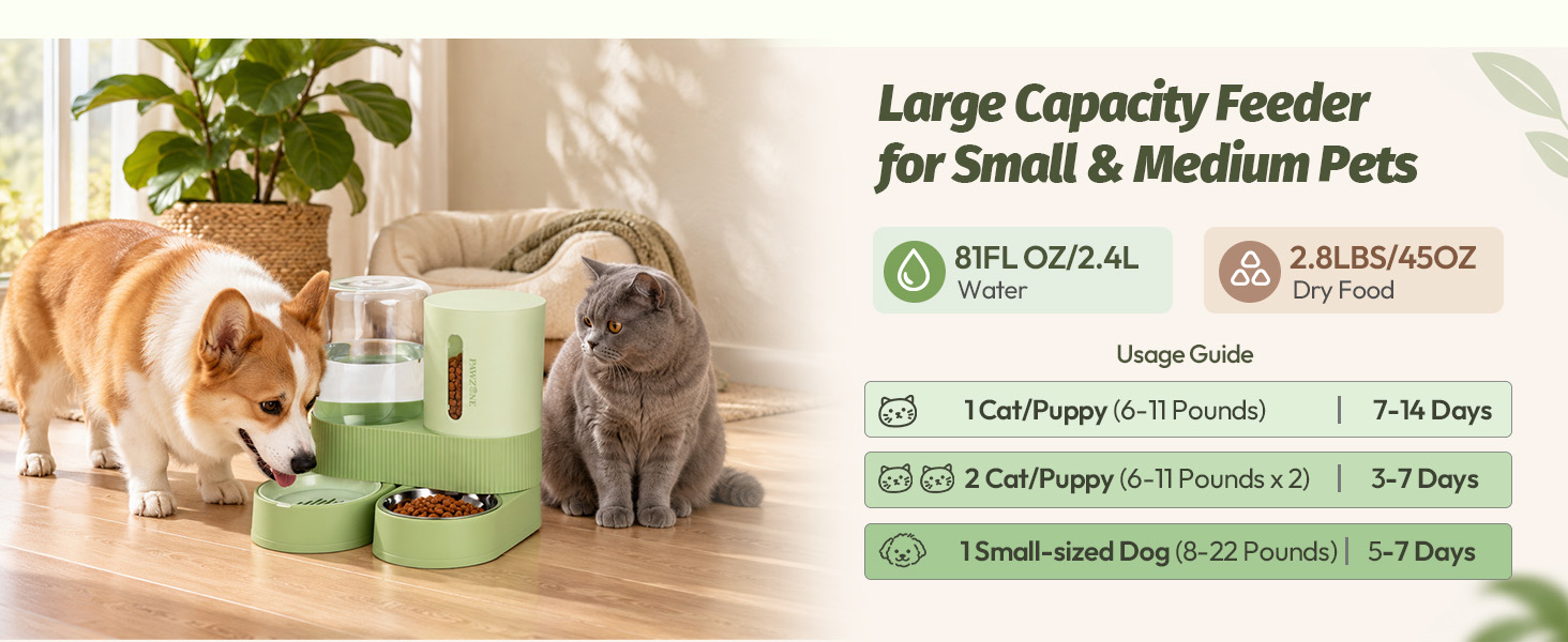 self feeder for cats