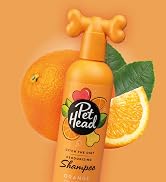 Ditch the Dirt Shampoo