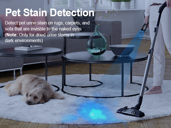 Pet stain detection