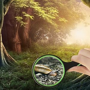 Magnifying glass application