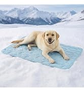 LE SURE Dog Cooling Mat for Extra Large Dogs -Q-Max>0.5 XL Breathable Thin Cool Crate Pad with Ch...