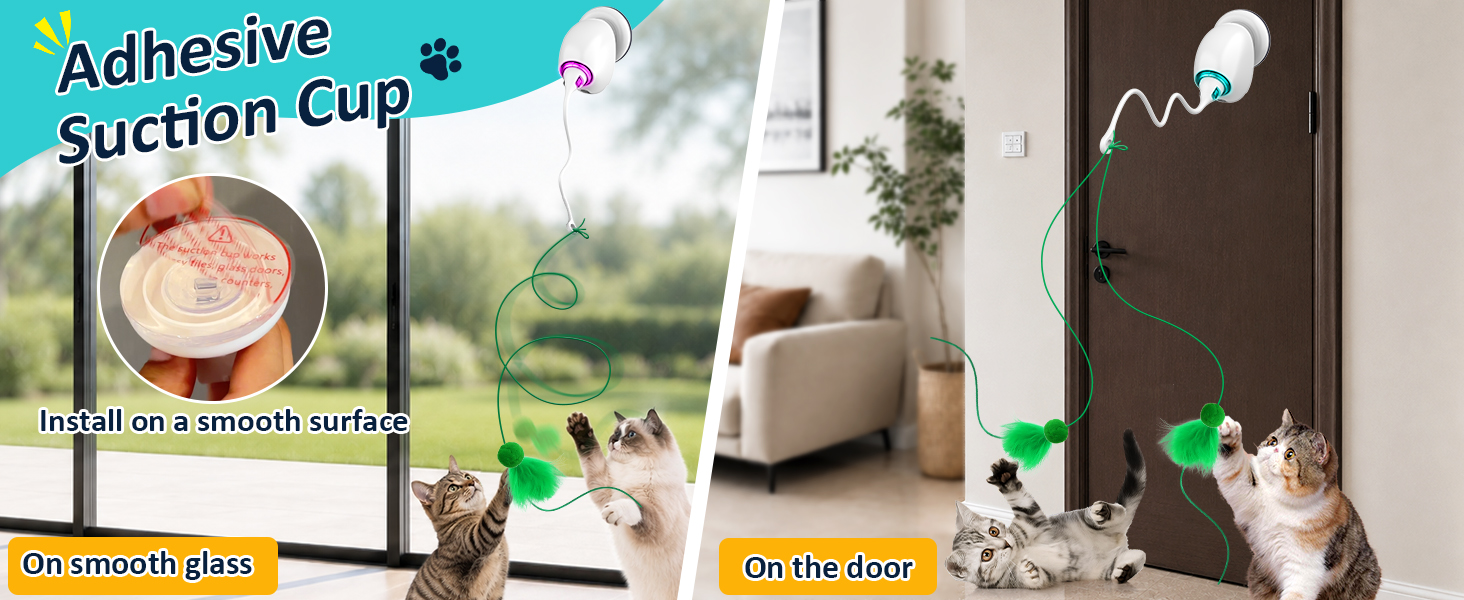 interactive cat toy