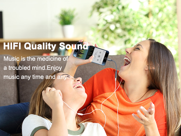 usb c to 3.5mm audio adapter