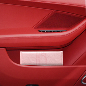 registration and insurance card holder