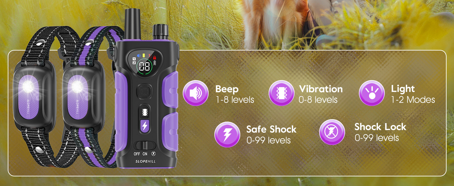 shock collar for dogs