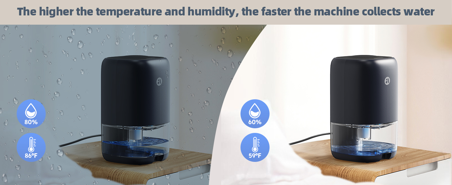dehumidifier