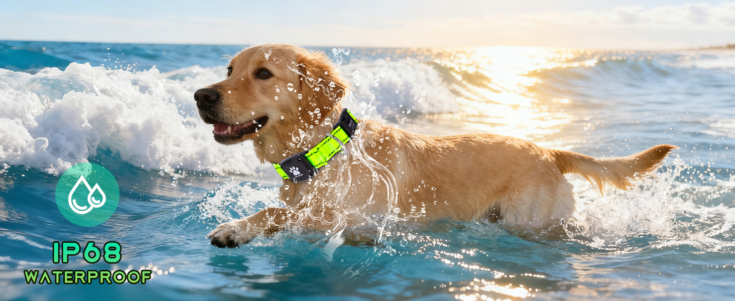 MYIWB IP68 Waterproof Dog Tracking Collar, Swim-Safe, Real-Time GPS