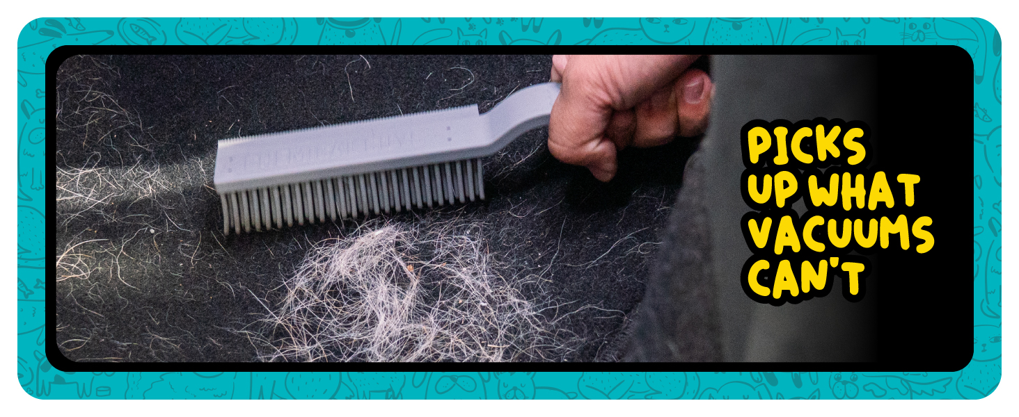 Chemical Guys Grubbie - rubber bristle brush for pet hair in cars, homes, and RVs