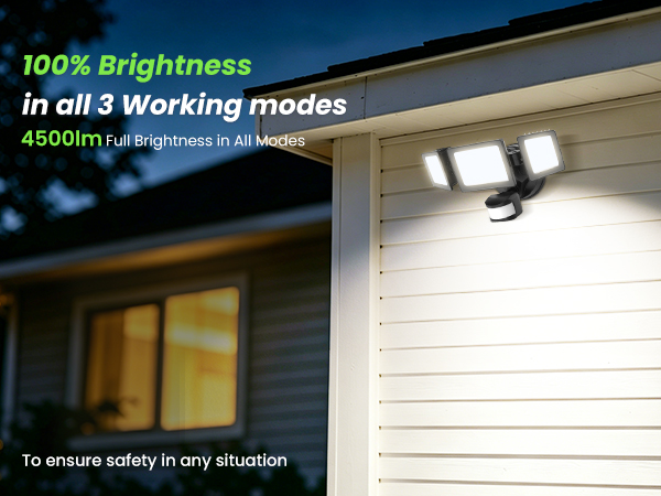 Motion Sensor Outdoor Lights