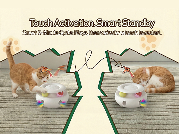 cat toy