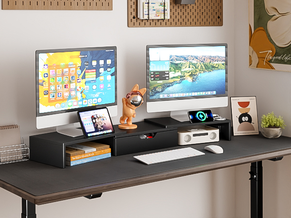 Dual Monitor Stand with USB Ports