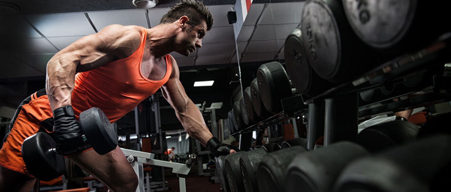 push up bars
