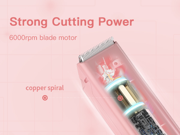 6000rpm blade motor